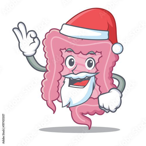 Santa intestine mascot cartoon style