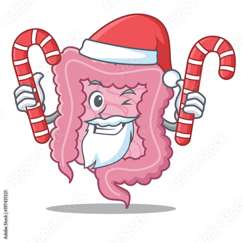 Santa with candy intestine mascot cartoon style