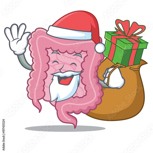 Santa with gift intestine mascot cartoon style