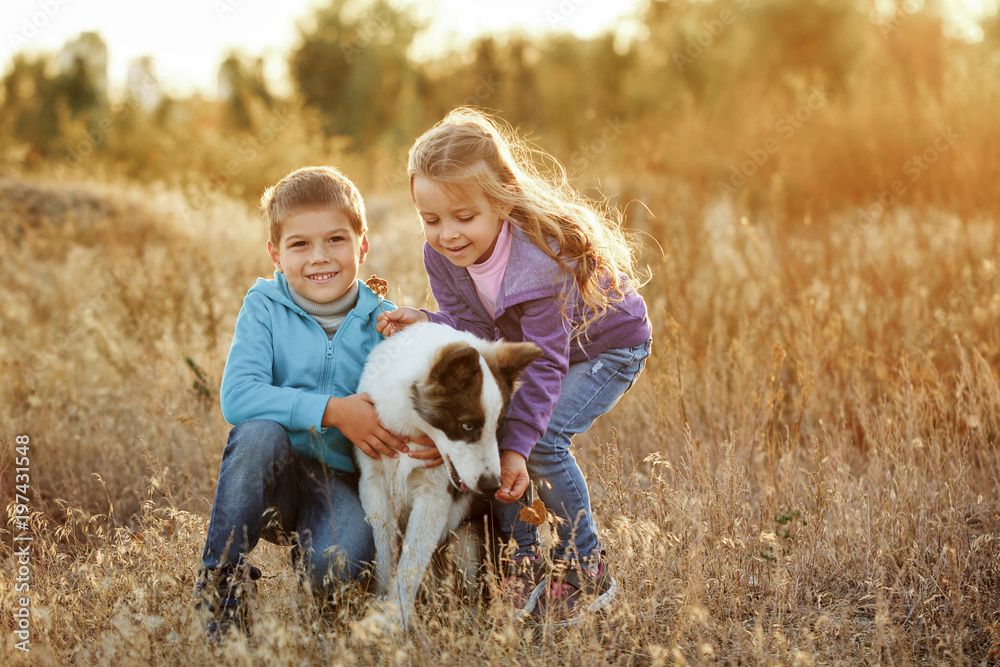 Family. Brother, sister and dog. Family. Brother, sister and dog.