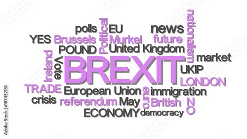 Brexit word cloud typography pink photo