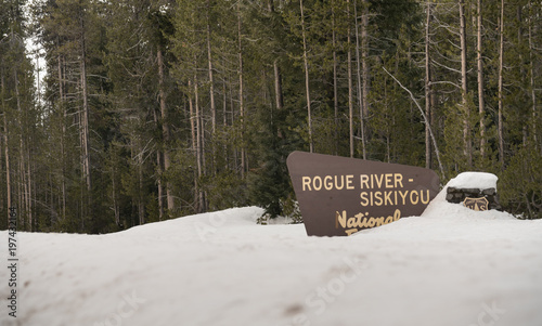 Winter Woods Rogue River Siskiyou National Forest Welcome Sign photo