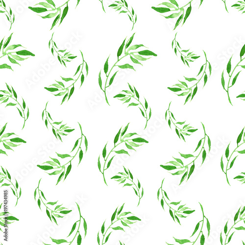 watercolor pattern  seamless background  card with an illustration - wild grasses  algae  twigs  green branch  basil  sprout  plant. Done in watercolor. green color. Green plants on a white background
