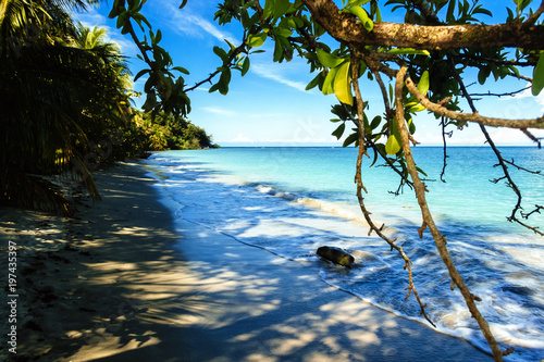 Фотография Landscape of the beach of the Cahuita National Park, Costa Rica