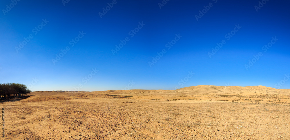 Wide panorama of desert at winter