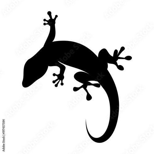 gecko icon vector silhouette