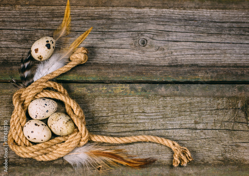 Closeup bird nest with quail eggs and feather beside sheet of paper for text on wood background.