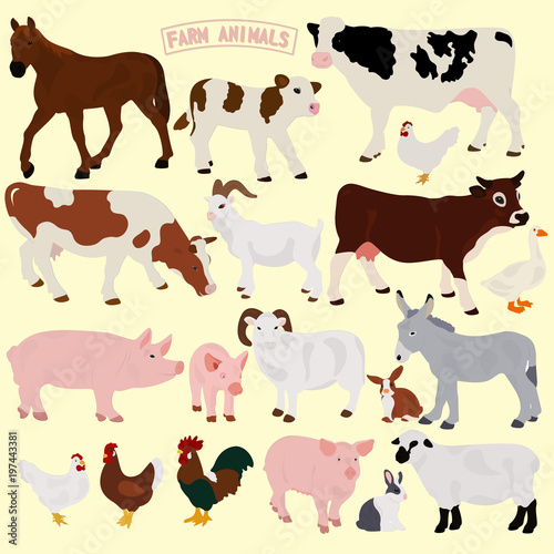A collection of farm animals on a light background