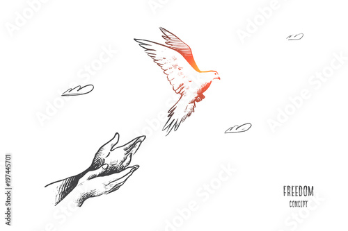Freedom concept. Hand drawn pigeon flying out of two hands. Freedom of life, free bird enjoying nature isolated vector illustration.
