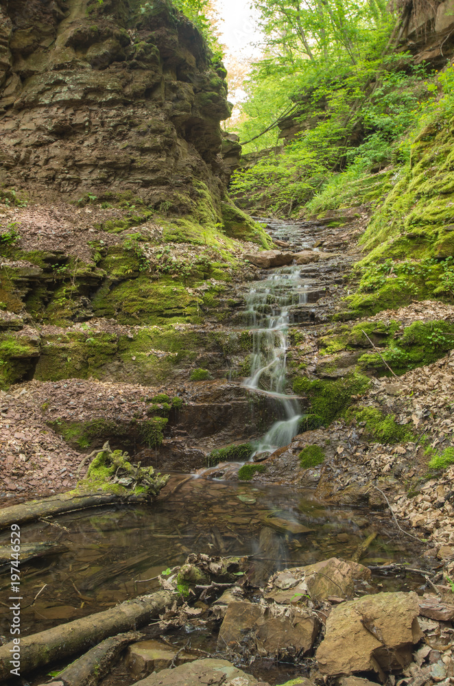 Obraz premium Beatiful waterfall in spring forest. Carpathian, Ukraine.
