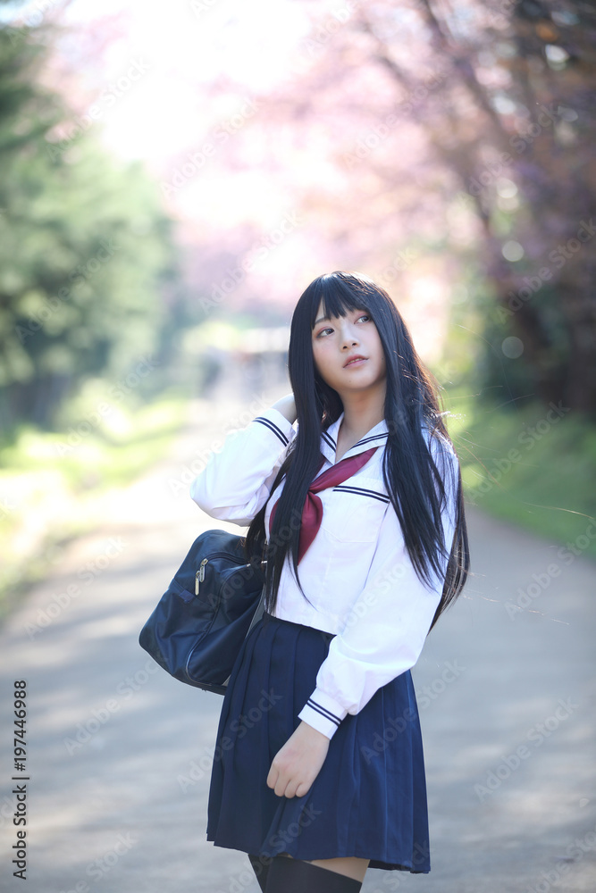 Japanese school girl dress looking sakura flower nature walkway Japanese school girl dress looking sakura flower nature walkway