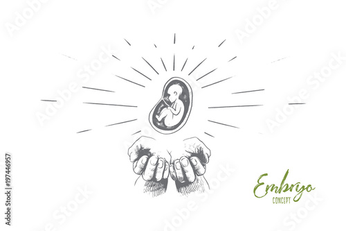 Embryo concept. Hand drawn hands with embryo. Symbol of protection of motherhood isolated vector illustration.
