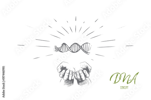 DNA concept. Hand drawn human hands with symbol of DNA. Structure of DNA isolated vector illustration.