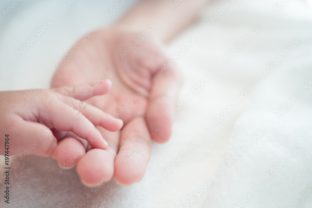 Baby new born hand in mother hand : Concept of love, Take Care, Protecting Baby new born hand in mother hand : Concept of love, Take Care, Protecting