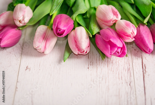 Tulips on the white wooden background