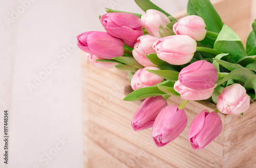 Tulips in the wooden box