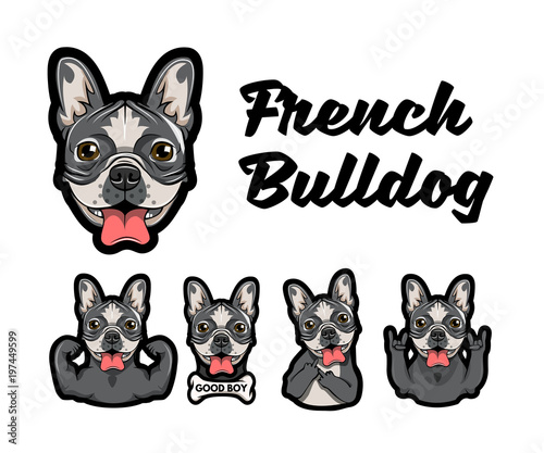 French bulldog with different gestures.  illustration.