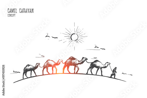 Camel caravan concept. Hand drawn camels walk through the desert. Camel caravan going through the sand dunes isolated vector illustration.