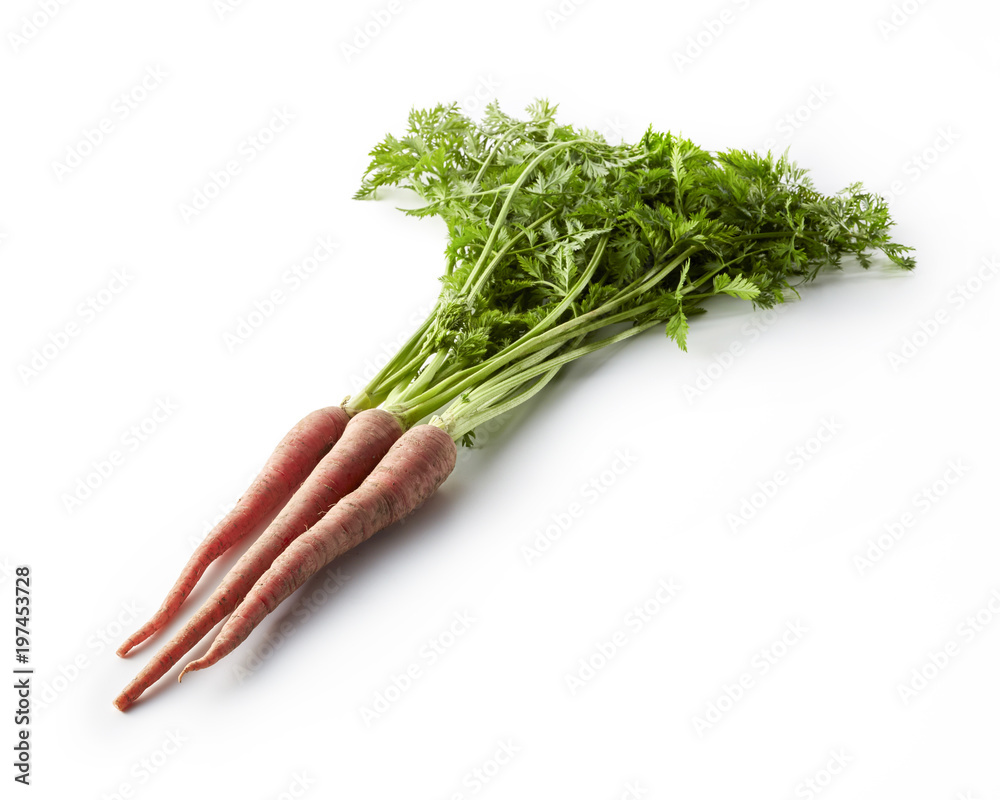 金時人参 京野菜 バック飛ばし 影イキ Stock Photo Adobe Stock