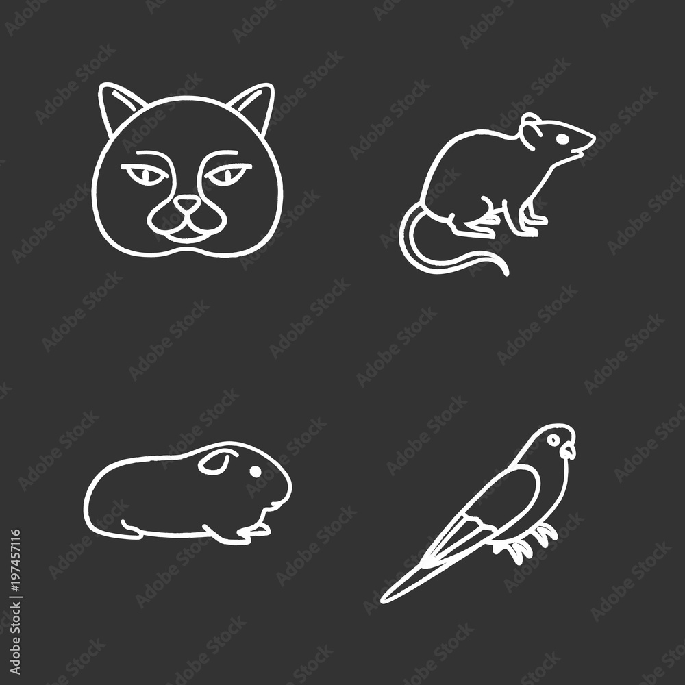 Pets chalk icons set Pets chalk icons set