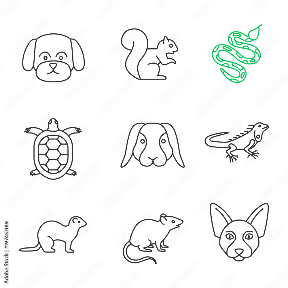 Pets linear icons set