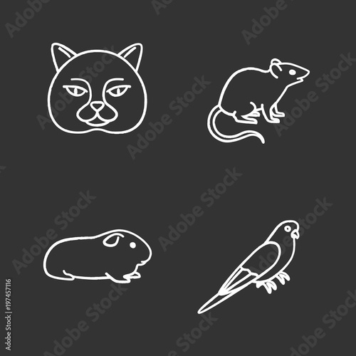 Pets chalk icons set