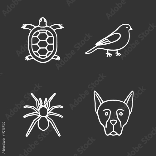 Pets chalk icons set