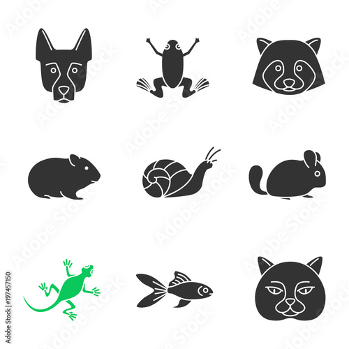 Fototapeta Naklejka Na Ścianę i Meble -  Pets glyph icons set