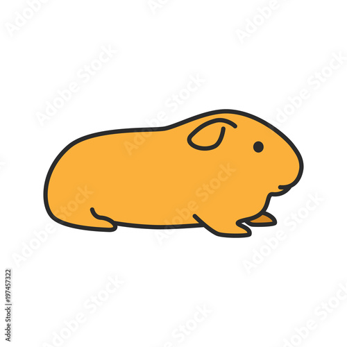 Cavy color icon