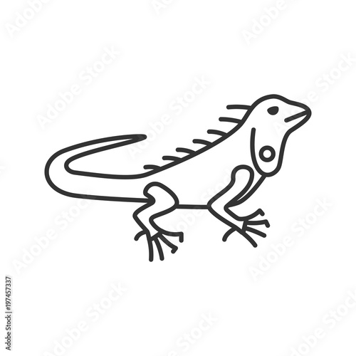 Iguana linear icon