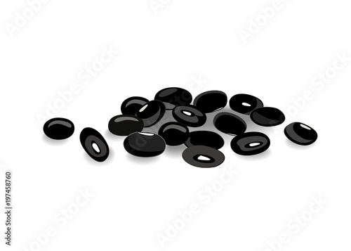 Black beans isolated on white background. Vector illustration