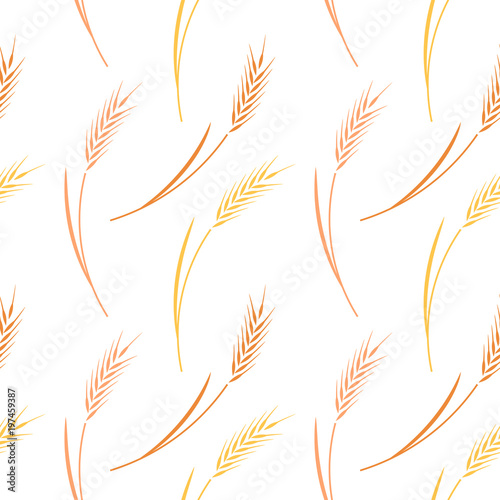 Whole grain, natural, organic background for bakery package, bread products.