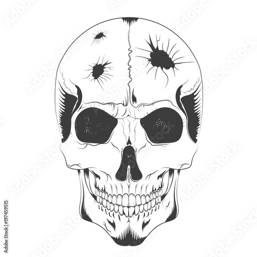 vector illustration of a skull sketch with holes of different diameters in the head. t-shirt design, poster, ticket and others