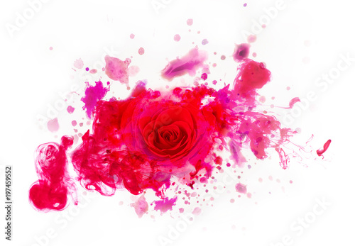 Beautiful red real rose from watercolors blots.