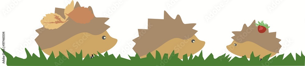 painted hedgehogs walking on grass vector on white background painted hedgehogs walking on grass vector on white background