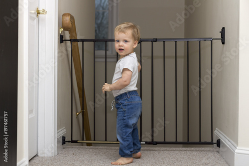 Cute toddler approaching safety gate of stairs at home