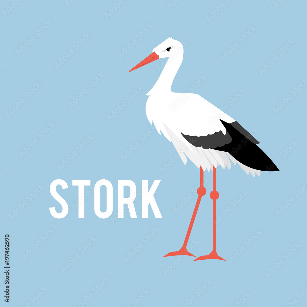 Fototapeta premium Stork isolated on white background, standing stork in flat style.