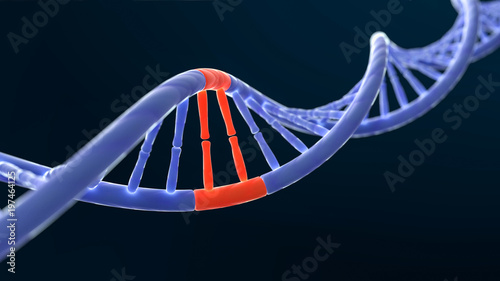 Obraz na plátně DNA_Rotes Segment