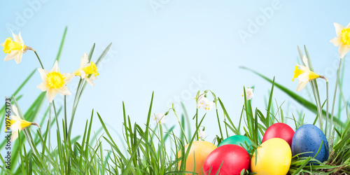 Fototapeta Naklejka Na Ścianę i Meble -  Poster, spring snowflake, narcissus, eggs  in the grass on a natrue background