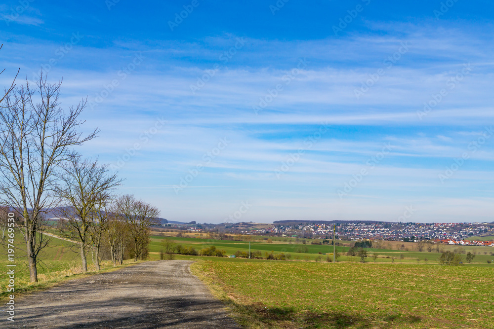 Agricultural road between the fields