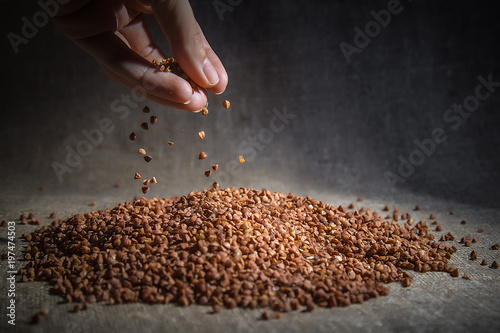 Bild auf Leinwand Buckwheat texture high-quality photograph of premium buckwheat groats
