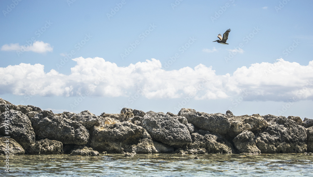 Karibik Bucht mit Pelikan 