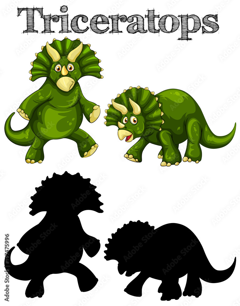 Fototapeta premium Triceratops in two actions with silhouette
