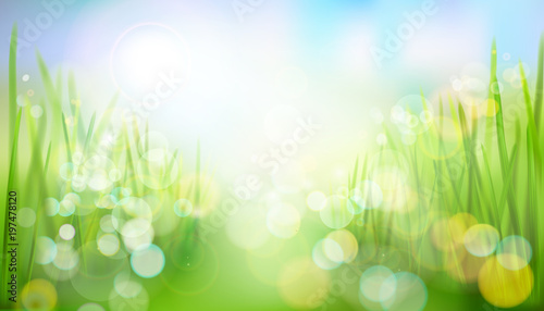 The way through the field. Abstract nature background. Vector illustration.