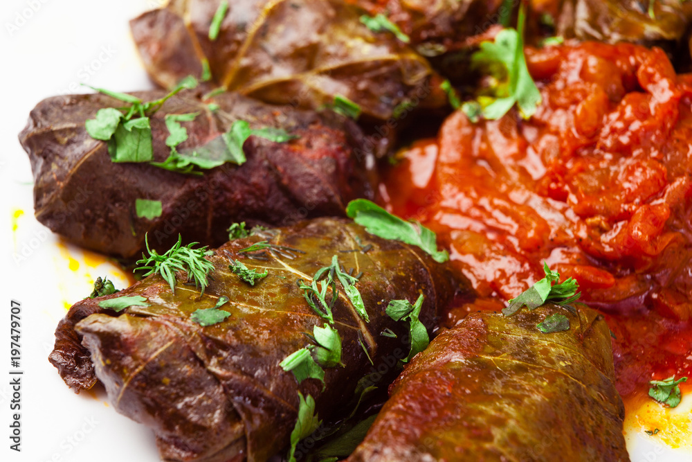 stuffed cabbage rolls on white background stuffed cabbage rolls on white background