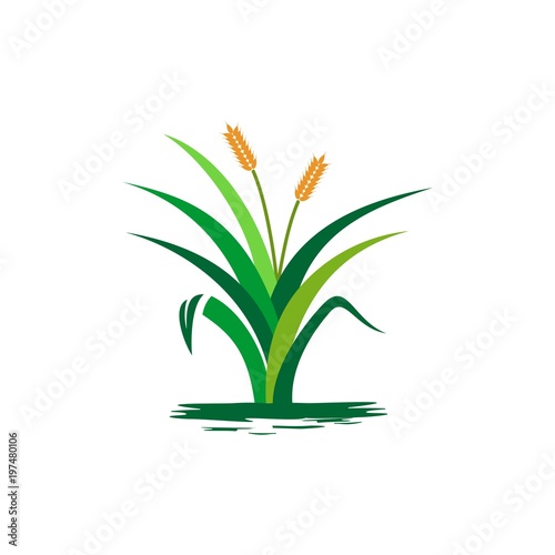 icon logo green grass vector symbol design