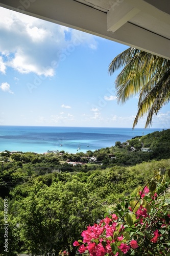 Island life