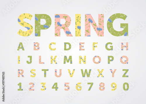 spring font, alphabet of flowers, cornflowers, greens, letters for summer text