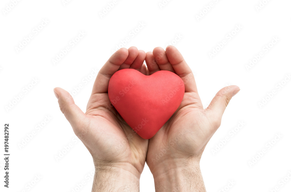 Red heart in man's hands. Health insurance or love concept 
