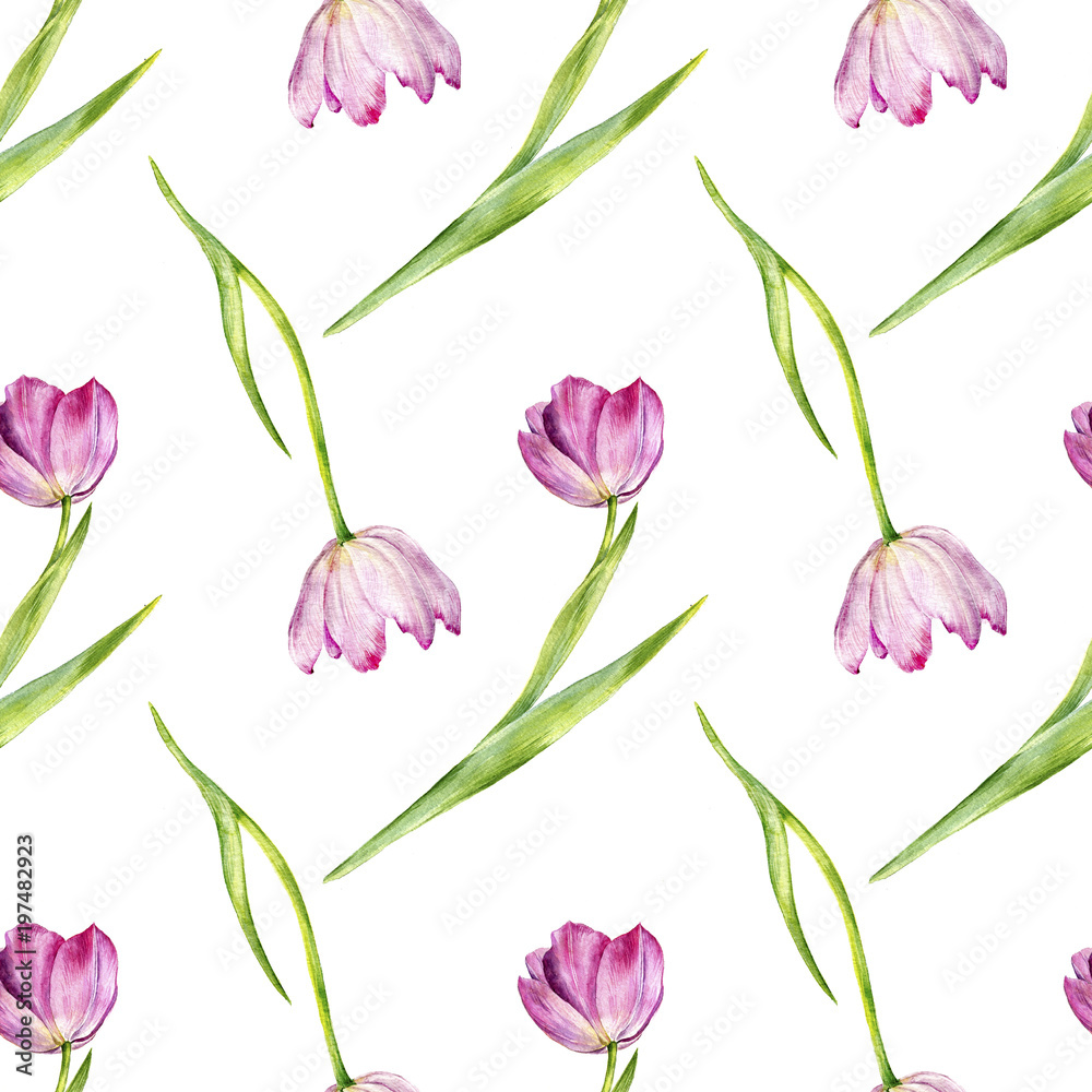 Obraz premium watercolor seamless pattern with pink tulips